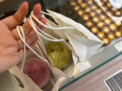 -喜茶(迪士尼小镇DP店)