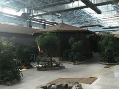 -森谷美食公园(杨行店)