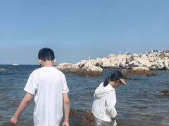 -养马岛旅游度假区