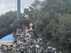 -合肥野生动物园
