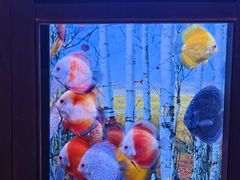 -华夏文旅海洋公园