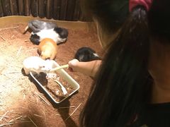 -藦茜花园宠物主题亲子互动体验馆(国顺东路店)