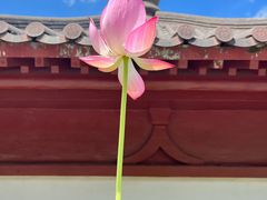 -萍乡武功山风景名胜区