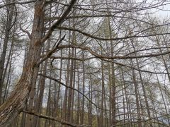 -硗碛藏寨·神木垒景区