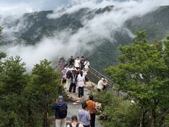 -牛背梁国家森林公园
