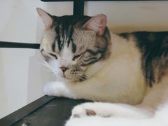 -小时光咖啡馆(开森度假森林店)