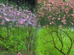 -西湖风景区-江洋畈生态公园