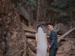 -罗曼罗兰(璧山店)