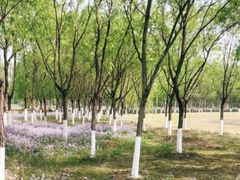 -东郊湿地公园