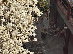-潭柘寺景区