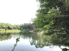 -李小龙乐园(顺德均安店)