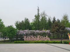 -群力丁香公园