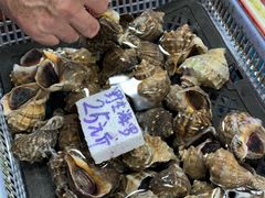 -都斛海鲜街