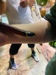 -酷嗒动物文化乐园(cutezoo西溪乐天城店)