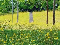 -福建鲤鱼洲酒店