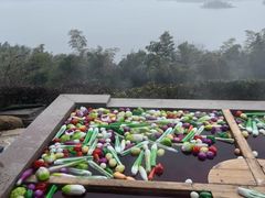 -天目湖涵田半山温泉