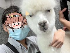 -宠物家(大兴旧宫店)