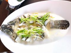 清蒸老虎斑-三利音·东方司宴(外滩店)