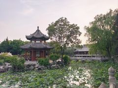 -莲池书院博物馆