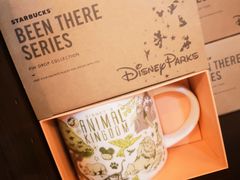 -奥兰多迪士尼动物王国乐园