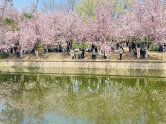 -元大都城垣遗址公园