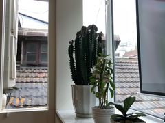 -蝶舍·MAISON PAPILLON