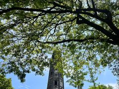 -上海佘山国家森林公园天马山园