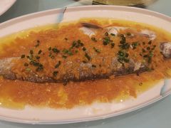 黄椒酱白鱼-新巴黎大酒店-巴黎中餐厅