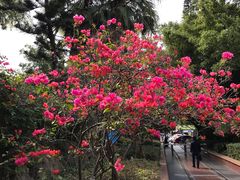 景点-铁路文化公园