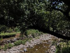 -宁海森林温泉