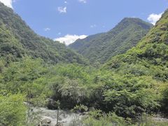 -沣峪口