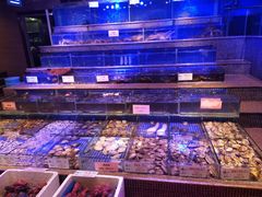 -青蓬蒸汽海鲜·深圳老字号·团建聚会(壹方城店)