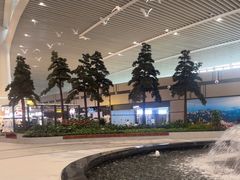 -青岛胶东国际机场