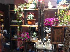 -大匠工房古船木艺术餐厅·猪肚鸡专门店(长白仙岛店)