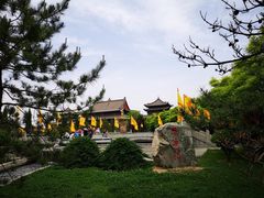-大槐树寻根祭祖园