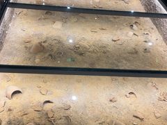 -泸州老窖景区