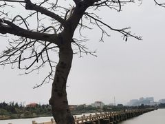 -安平桥