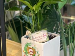 -Ramen满吉·豚骨拉面(丽园路店)