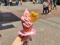 -TheRink大零溜冰场(IFS国金中心店)