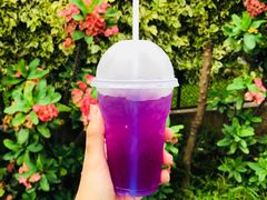 -蝶豆花蓝面条