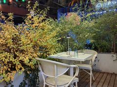 -春树下·树屋花房西餐厅(罍街AS1980店)