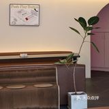 廣州 | 隱藏在村里的咖啡店,還可以玩賽車🏎️