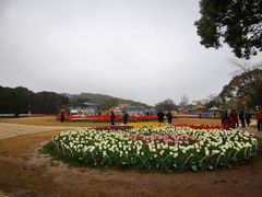 -无锡梅园公园