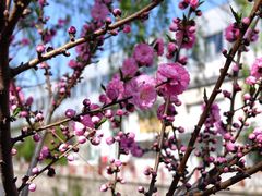 -元大都城垣遗址公园