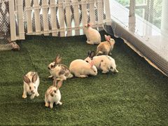 -保利国际影城(中环店)