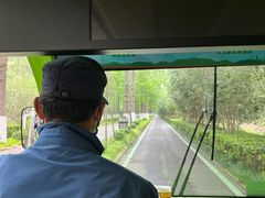 -合肥滨湖国家森林公园