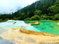 -黄龙山原始森林景区