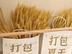 -一只小云朵a little cloud