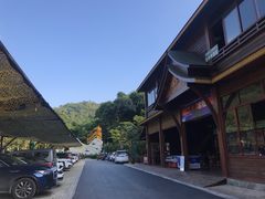 -西双版纳原始森林公园