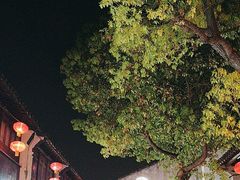 -松鹤楼(山塘街店)